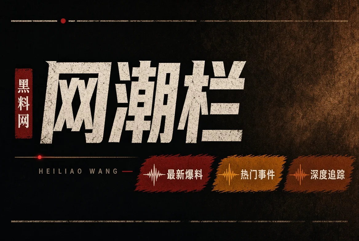 网络风向栏目视觉